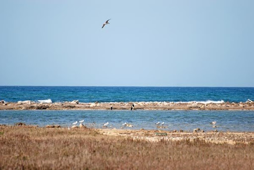 La Torre di Torre Pali e l’Isola della Fanciulla: Storia e Fascino